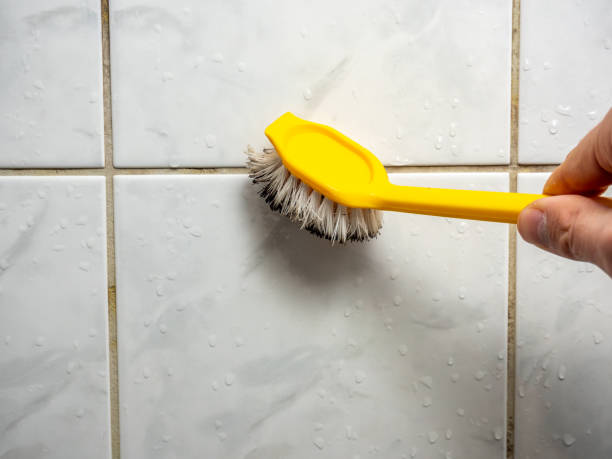 Best Best Mold Removal Companies  in Spanish Fork, UT