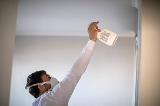 Best Mold Removal Near Me  in Spanish Fork, UT