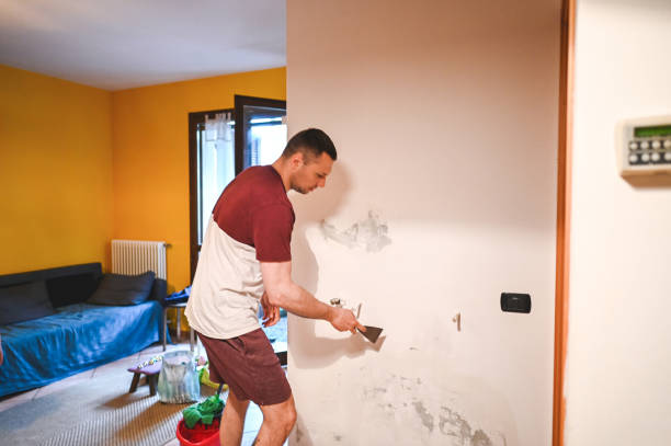 Best Home Mold Removal  in Spanish Fork, UT