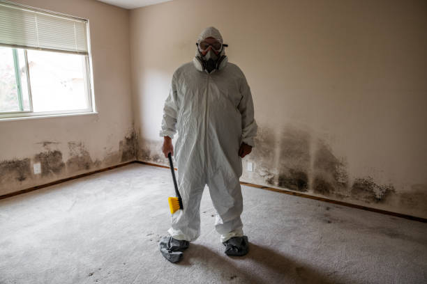 Best Toxic Mold Removal  in Spanish Fork, UT